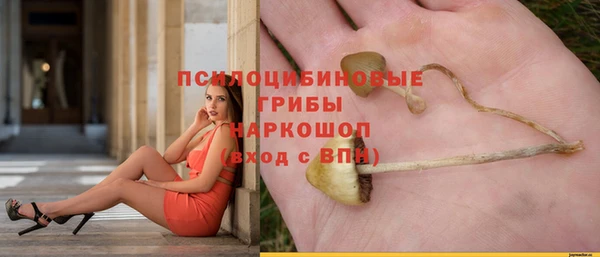 дурь Мегион