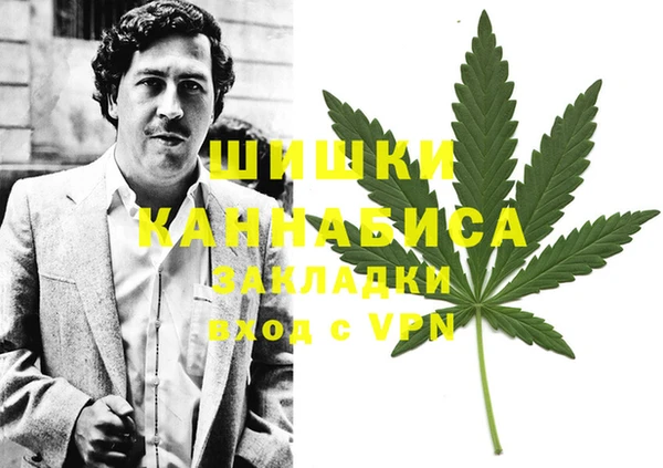 СК Аркадак
