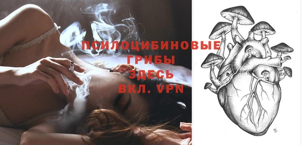 СК Аркадак